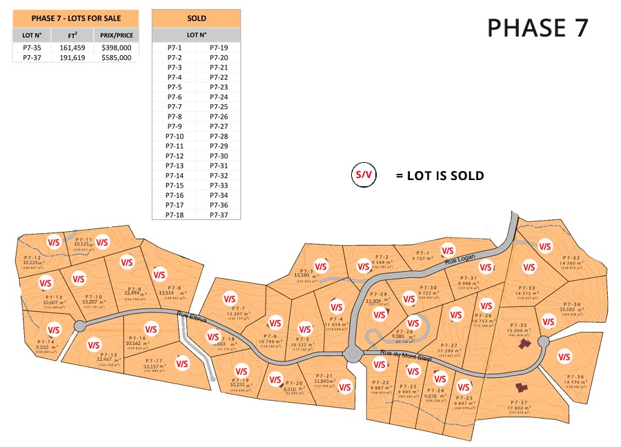 lots for sale in Mont Tremblant new homes for sale Tremblant