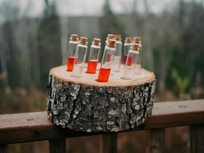 retreat in Mont Tremblant