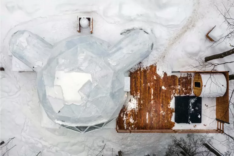 mickey dome ext winter