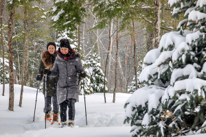winter cabin rentals